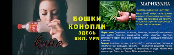 крисы Гусь-Хрустальный