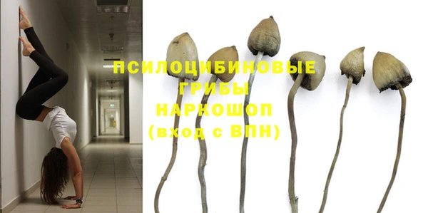 марки nbome Горняк