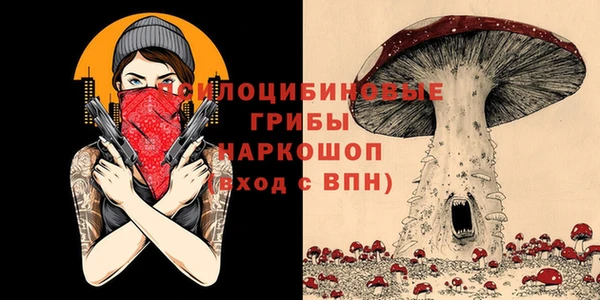 марки nbome Горняк