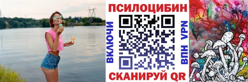 Галлюциногенные грибы прущие грибы  Купить где  Сенгилей 